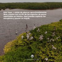 Carboneras 10 scaled