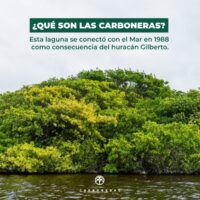 Carboneras 11 scaled