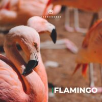 Carboneras 13 scaled