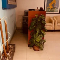 WhatsApp Image 2026 03 27 at 12.04.02